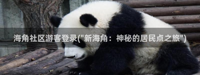 海角社区乌海：海角社区游客登录(\