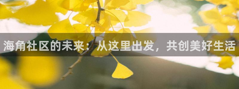 海角社区3802：海角社区的未来：从这里出发，共创美好生活