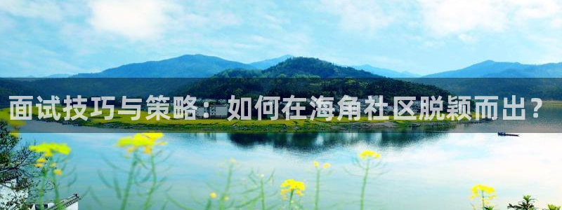 海角社区湖南：面试技巧与策略：如何在海角社区脱颖而出？