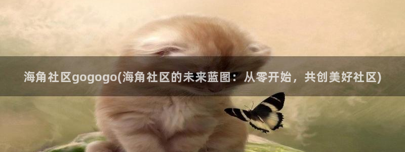 海角社区00：海角社区gogogo(海角社区的未来蓝图：从零开始，共创美好社区)