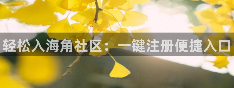 海角社区粉丝：轻松入海角社区：一键注册便捷入口