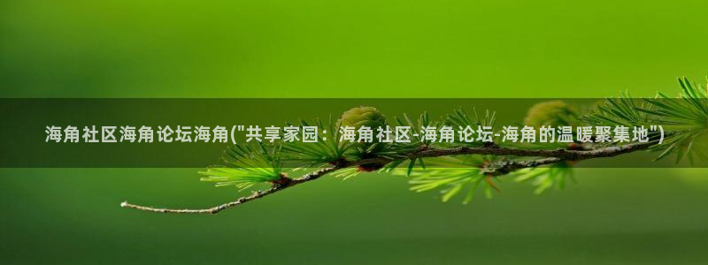 海角社区502：海角社区海角论坛海角(\