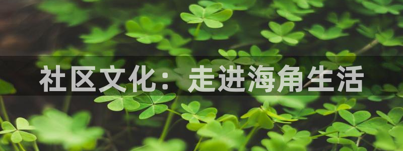 海角社区帖子网页